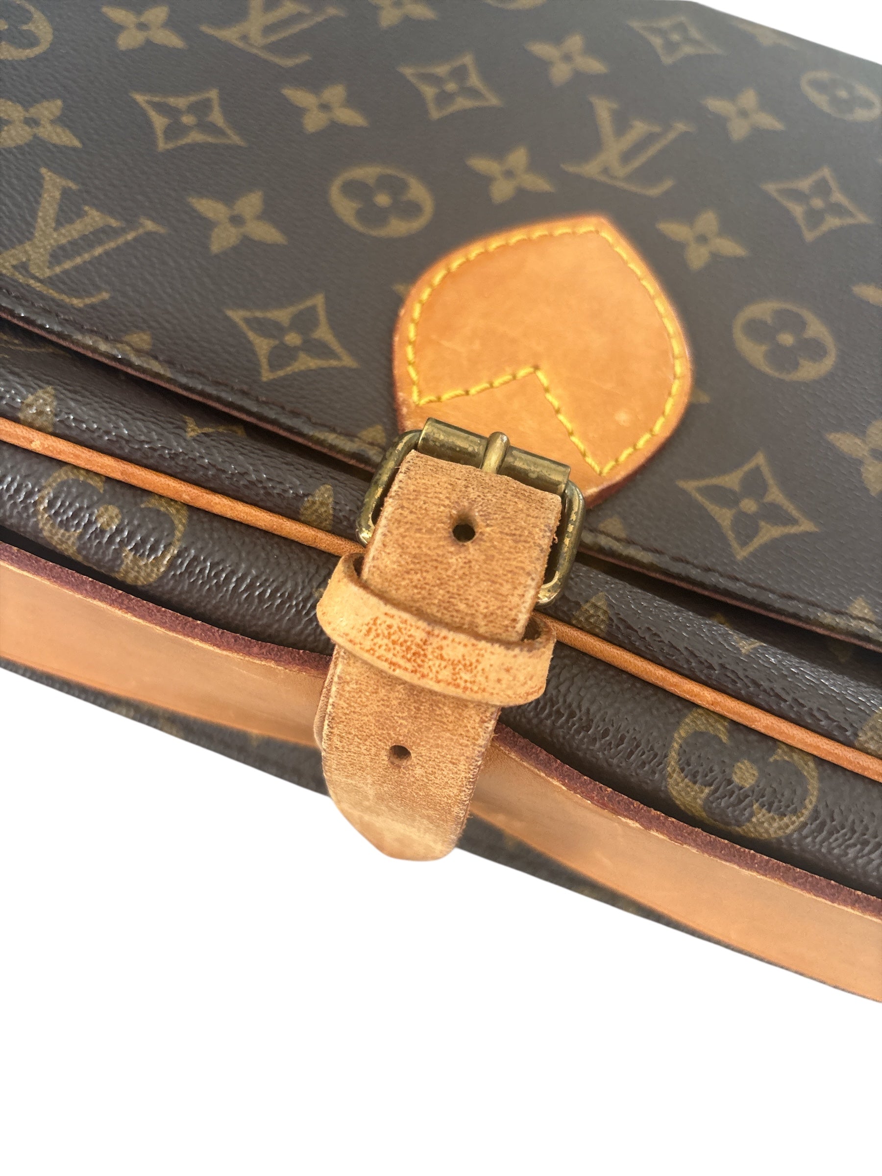 Louis Vuitton Monogram Cartouchière