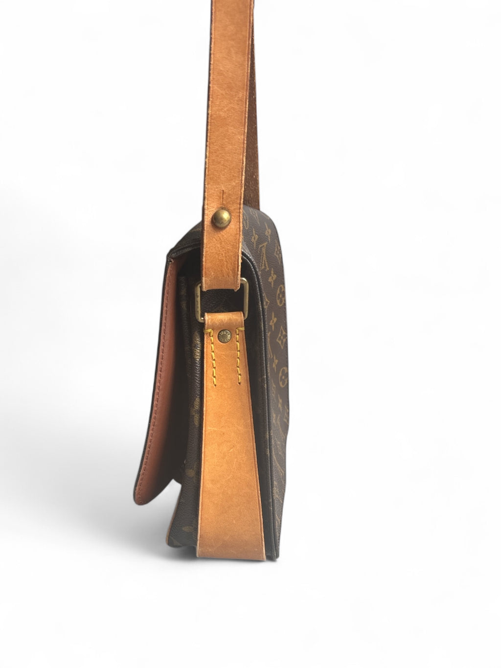 Louis Vuitton Monogram Cartouchière