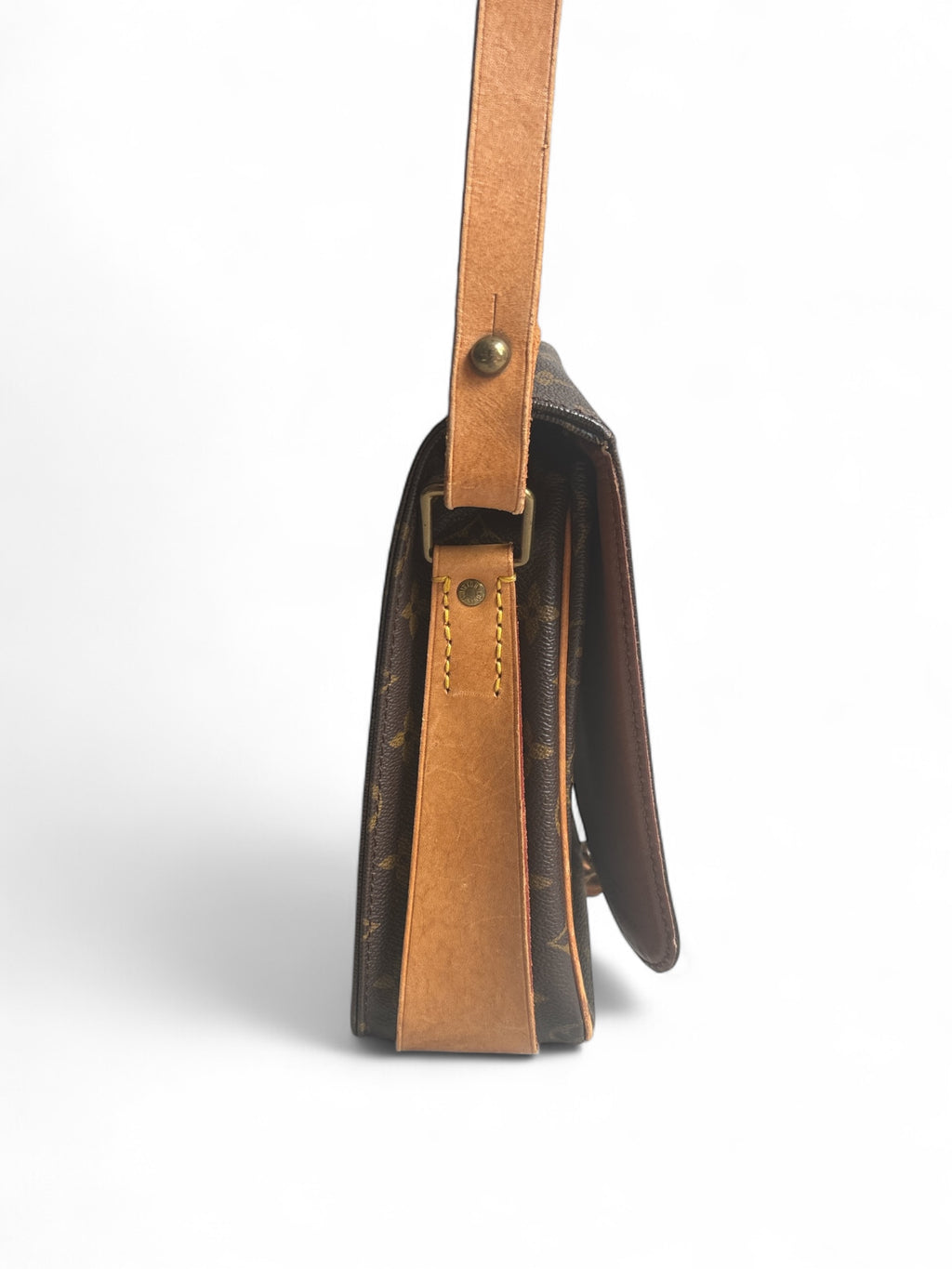 Louis Vuitton Monogram Cartouchière